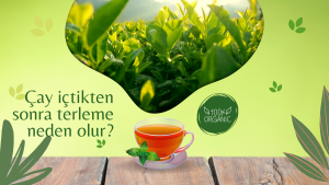 Çay içtikten sonra terleme neden olur?