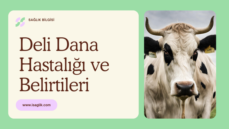 Deli Dana Hastalığı ve Belirtileri
