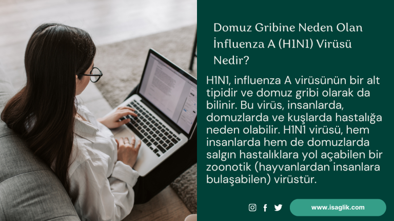 Domuz Gribine Neden Olan İnfluenza A (H1N1) Virüsü Nedir?