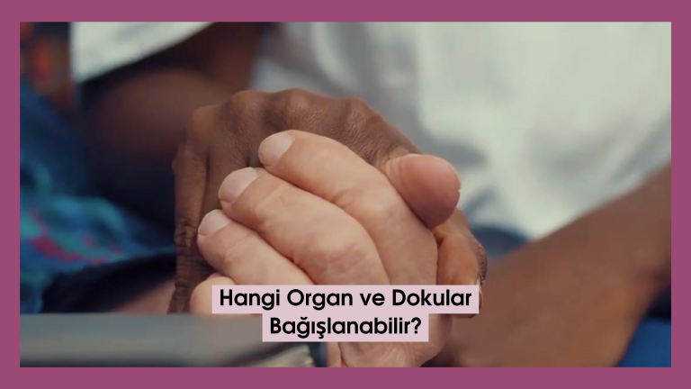 Hangi Organ ve Dokular Bağışlanabilir?