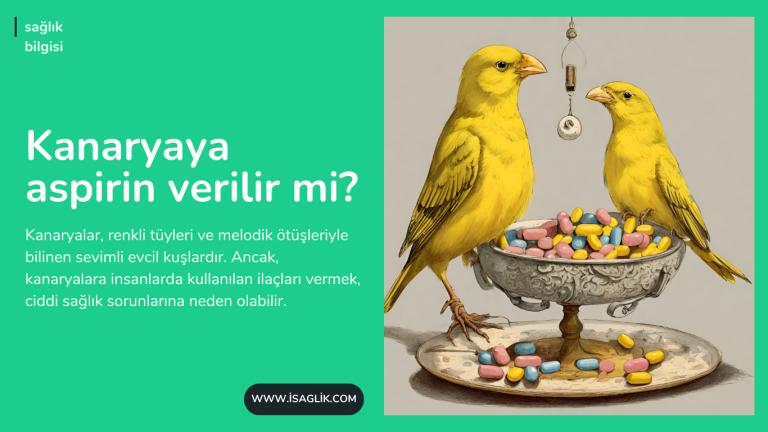 Kanaryaya aspirin verilir mi?