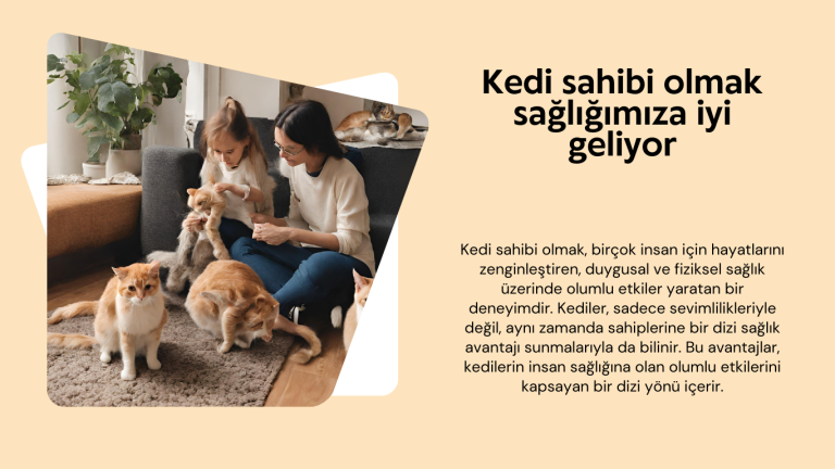 Kedi sahibi olmak, birçok insan için hayatlarını zenginleştiren, duygusal ve fiziksel sağlık üzerinde olumlu etkiler yaratan bir deneyimdir. Kediler, sadece sevimlilikleriyle değil, aynı zamanda sahiplerine bir dizi sağlık avantajı sunmalarıyla da bilinir. Bu avantajlar, kedilerin insan sağlığına olan olumlu etkilerini kapsayan bir dizi yönü içerir.