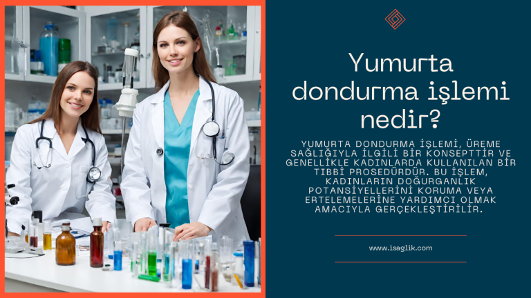 Yumurta dondurma işlemi nedir?