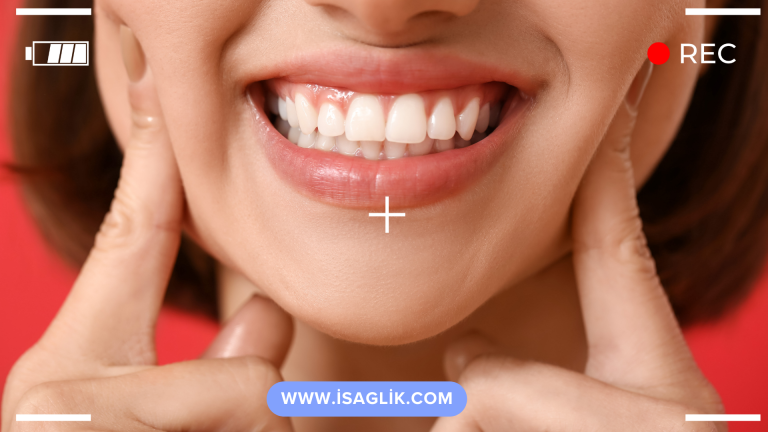 İnsanlarda dişlerin sayısı, genellikle 32'dir. Bu dişler, üst ve alt çenede bulunur. Her bir çenede 8 kesici diş, 4 köpek dişi, 8 azı dişi ve 12 yirmilik diş olmak üzere toplam 16 diş vardır.