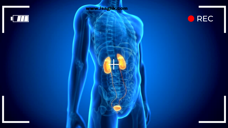 Erkeklerde geç boşalma, cinsel birleşme sırasında boşalmanın kontrol edilebilmesi olarak tanımlanır ve birçok erkek için bu durum cinsel tatminin artmasına katkı sağlayabilir.