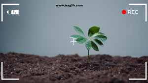 Dünya Sağlık Örgütü (DSÖ), son zamanlarda yaptığı bir açıklama ile iklim değişikliğini 21. yüzyılın en büyük sağlık tehdidi olarak nitelendirdi.