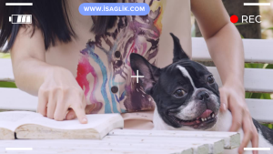 Arkadaşlık, insanların sosyal ilişkilerini sürdürmek, destek bulmak ve birlikte keyifli zaman geçirmek için önemli bir unsurdur. Ancak, her bireyin arkadaşlık ilişkileri farklıdır ve bazıları için arkadaş edinmek daha zor olabilir. Hiç arkadaşınız olmaması birçok farklı faktöre bağlı olabilir.