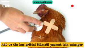 Üst düzey ABD ve Çin yetkililerinden gelen sızıntılar, uluslararası toplumu harekete geçirdi. İddialara göre, ABD ve Çin, kuş gribi virüsünü daha bulaşıcı ve ölümcül hale getirmek için çalışmalar yürütüyor.