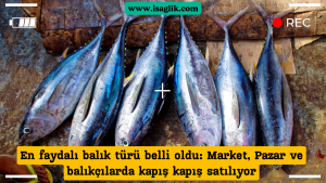 Son araştırmalar, en faydalı balık türünün belirlendiğini gösteriyor ve bu haber tüm dünya genelinde dikkat çekiyor. Araştırma sonuçlarının açıklanmasının ardından, marketlerde, pazarlarda ve balıkçılarda bu balık türünün kapış kapış satıldığı gözlemleniyor.