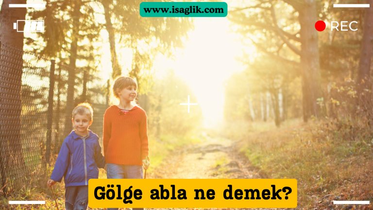 "Gölge abla" terimi genellikle Türkçe konuşulan toplumlarda kullanılan bir ifadedir ve genellikle kadınlar arasında arkadaşlık ve dayanışma bağlarını ifade etmek için kullanılır. Bu terim, bir kadının daha genç veya daha tecrübesiz olan bir başka kadına destek olması, rehberlik etmesi veya danışmanlık yapması anlamına gelir.