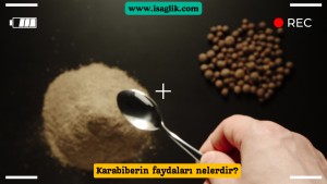 Karabiber, Piper nigrum bitkisinin meyvesinden elde edilen baharatlı bir türdür. Sadece lezzet vermekle kalmaz, aynı zamanda çeşitli sağlık faydaları da sağlar.