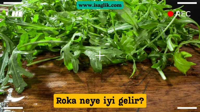 Roka, Brassicaceae ailesine ait bir yeşil yapraklı sebzedir ve çoğunlukla salatalarda veya sandviçlerde kullanılır. İnce, keskin bir tadı olan bu bitki, yüksek besin değerleri ve sağlık faydaları ile bilinir.