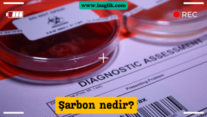 Şarbon, Bacillus anthracis adı verilen bir bakterinin neden olduğu ciddi bir enfeksiyon hastalığıdır. Hem insanlarda hem de hayvanlarda görülebilir ve genellikle ciddi olabilen bir zoonotik hastalıktır.
