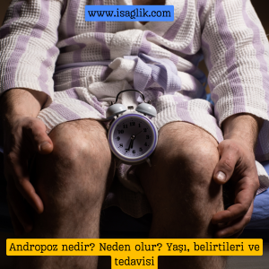 Andropoz, erkeklerdeki yaşlanma sürecinde meydana gelen hormonal değişimleri ifade eder. Kadınlardaki menopoza benzer şekilde, erkeklerde de andropoz yaşlanma sürecinin bir parçası olarak ortaya çıkar.