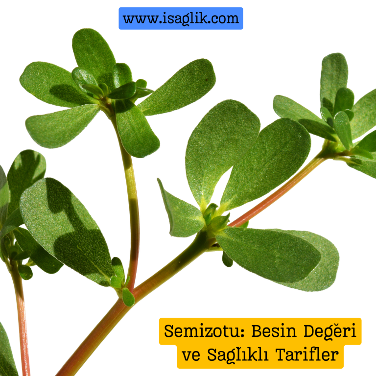 Semizotu, hem lezzetli hem de besleyici bir yeşil yapraklı sebzedir. İçerdiği vitaminler, mineral ve liflerle sağlığınıza birçok fayda sağlar.