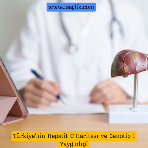 Türkiye'de Hepatit C, karaciğerde iltihaplanmaya neden olan bir virüs enfeksiyonudur. Son araştırmalar, Türkiye'nin çeşitli bölgelerinde genotip 1 Hepatit C virüsünün yaygınlığının %85'e kadar ulaştığını göstermektedir.
